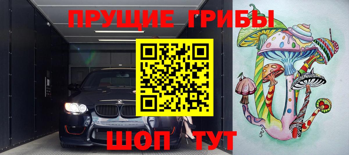 дарнет шоп  Вход с VPN  Галлюциногенные грибы GOLDEN TEACHER  Владикавказ  Псилоцибиновые грибы Psilocybe 