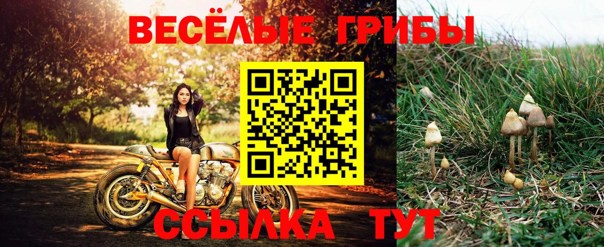 Галлюциногенные грибы ЛСД Владикавказ
